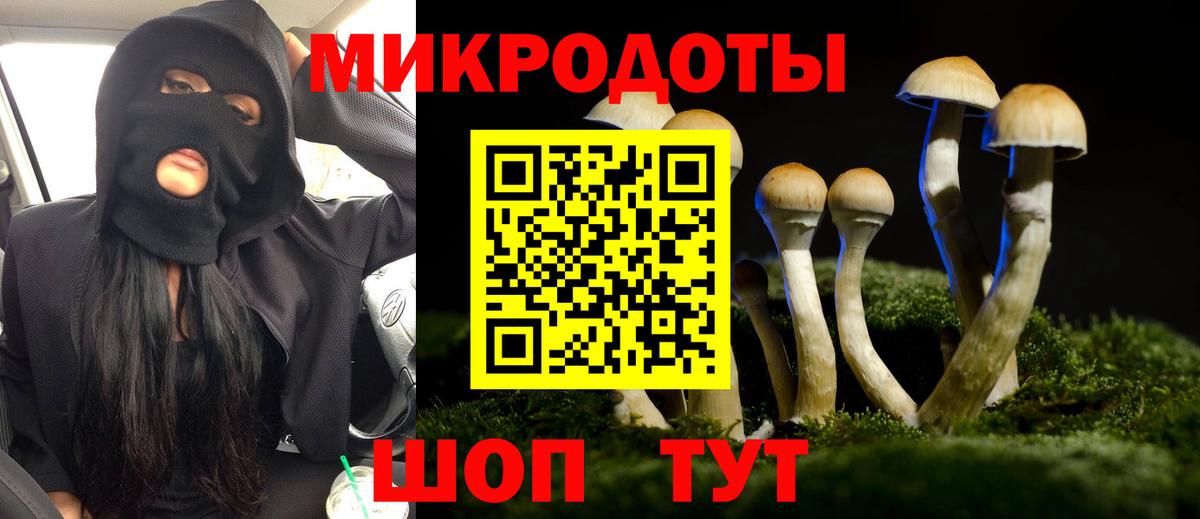 Псилоцибиновые грибы GOLDEN TEACHER  Вход с VPN  Гурьевск 